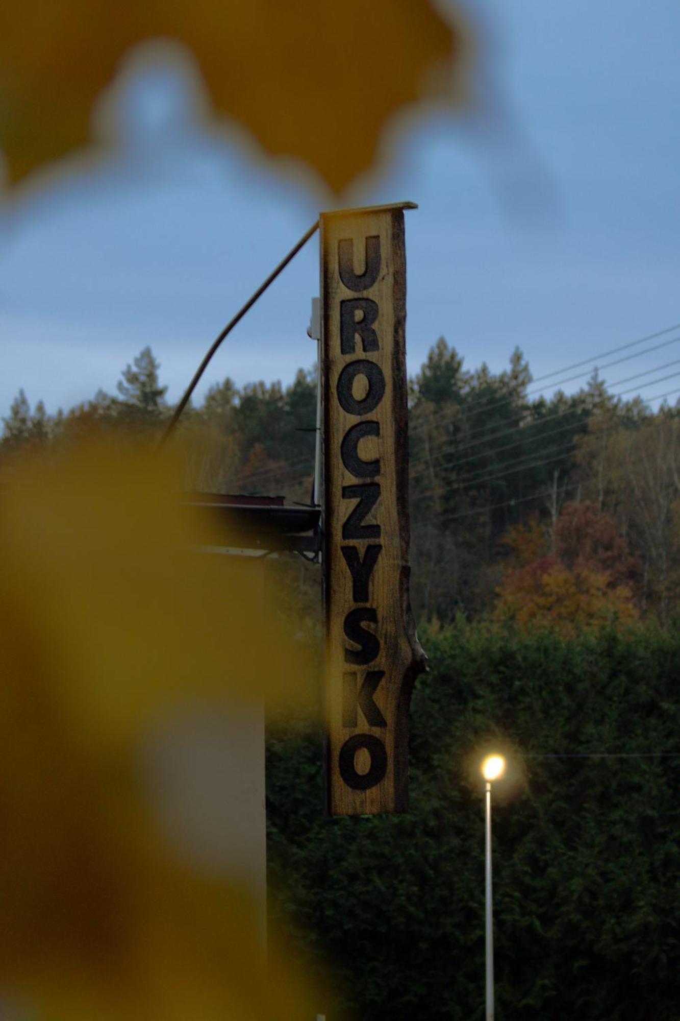 Uroczysko Olesnica Bed and Breakfast Chodzież Exteriör bild